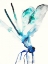 Picture of BLUE AND GREEN DRAGONFLY