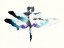 Picture of TURQUOISE AND VIOLET DRAGONFLY
