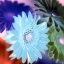 Picture of FLORAL COLOR - 1