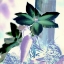 Picture of FLORAL COLOR - 10