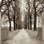 Picture of VENETO GIARDINI - 1
