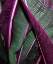 Picture of CLOSE UP VII