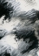Picture of DARK CLOUDS
