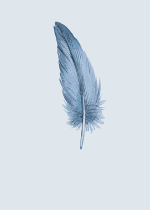 Picture of FEATHER 01