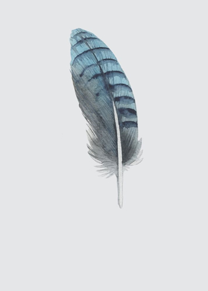 Picture of FEATHER 02