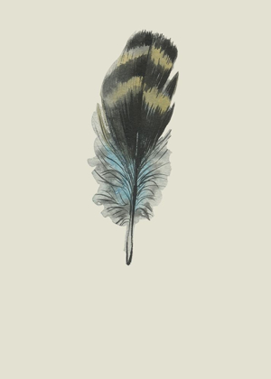 Picture of FEATHER 03