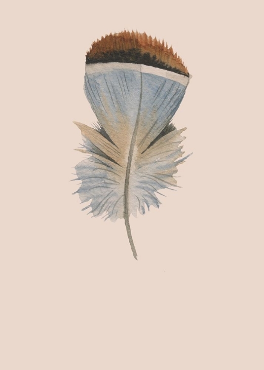 Picture of FEATHER 04