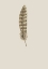 Picture of FEATHER 07