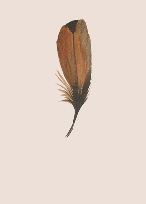 Picture of FEATHER 08