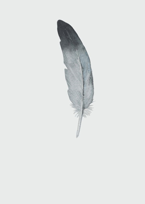 Picture of FEATHER 09