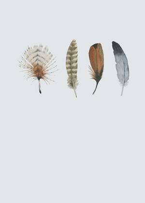 Picture of FEATHER 12