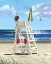 Picture of PELICAN PERCH