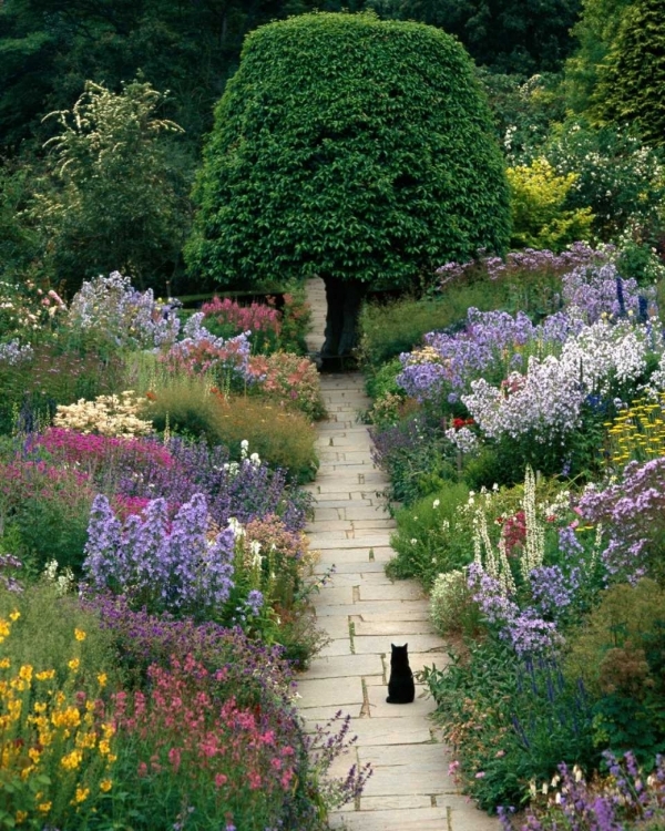 Picture of THE GARDEN CAT