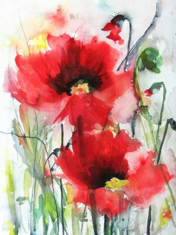 Picture of RED POPPIES