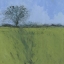 Picture of FENLAND MORNING