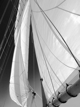 Picture of SAILBOAT SAILS FLORIDA