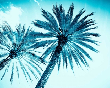 Picture of CHIC PALMS