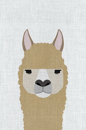 Picture of ALPACA