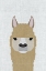 Picture of ALPACA