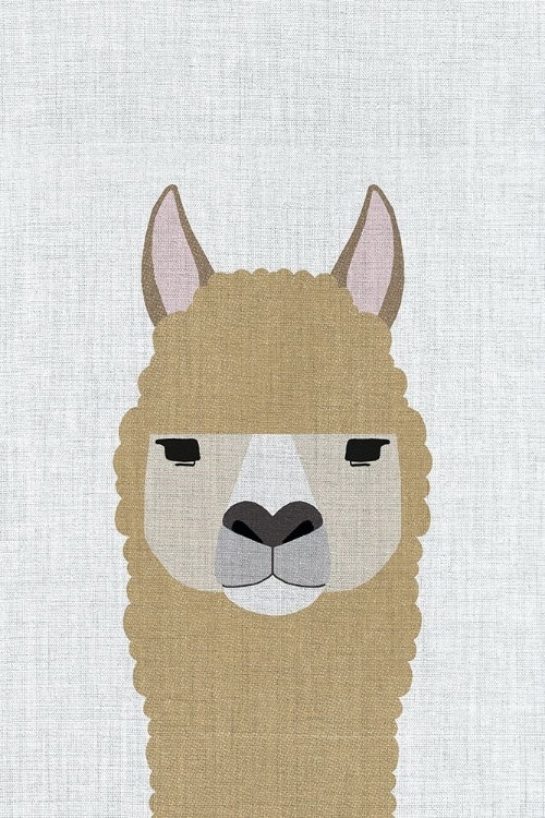 Picture of ALPACA