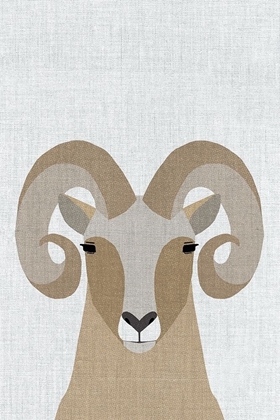 Picture of BIGHORN SHEEP