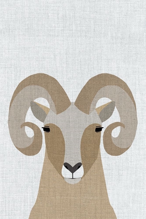 Picture of BIGHORN SHEEP