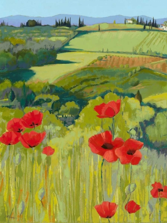 Picture of FIELD OF POPPIES