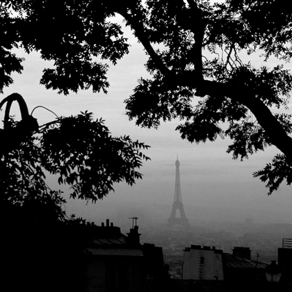 Picture of EIFFEL TOWER VIEW 1