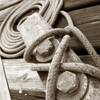 Picture of KNOTS AND BOLTS