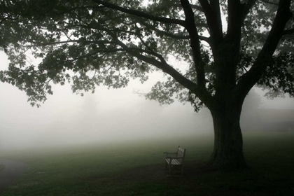 Picture of MISTY BENCH