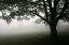 Picture of MISTY BENCH