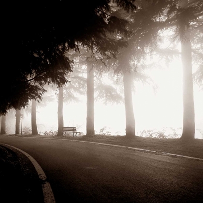 Picture of ROADSIDE BENCH