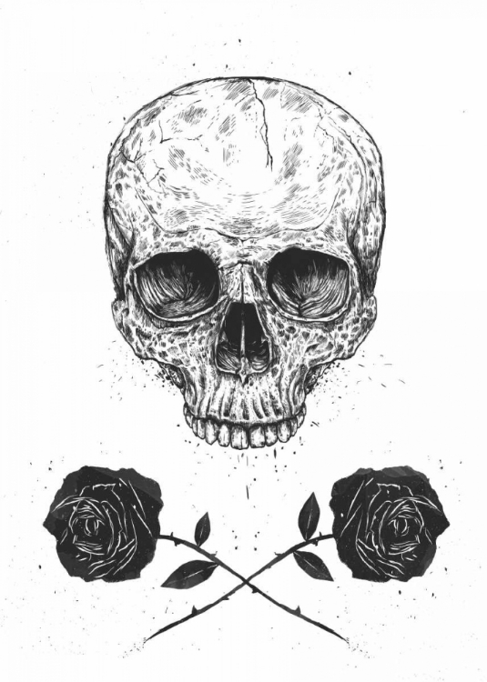 Picture of SKULL N ROSES