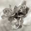 Picture of FLORISON - 36