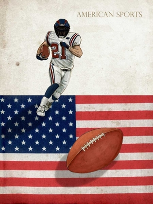 Picture of AMERICAN SPORTS-FOOTBALL 1