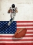Picture of AMERICAN SPORTS-FOOTBALL 1