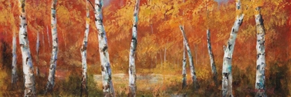 Picture of AUTUMN BIRCH I