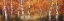 Picture of AUTUMN BIRCH I