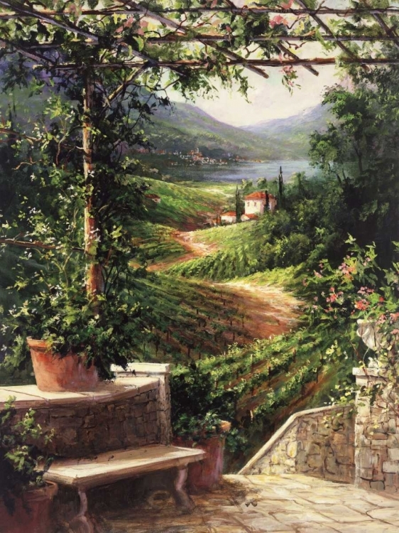 Picture of CHIANTI VINEYARD