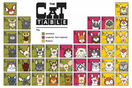Picture of THE CAT TABLE
