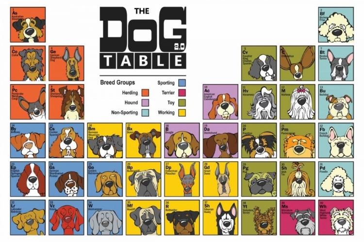 Picture of THE DOG TABLE