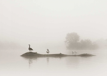 Picture of MELTON LAKE