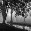 Picture of WOODLAND NO. 1