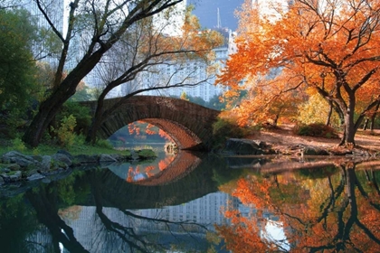 Picture of GAPSTOW BRIDGE FALL