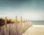 Picture of DOWN TO THE SEA