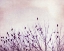 Picture of THE PAUSE THAT REFRESHES