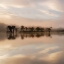 Picture of DAWN MIST ON THE AMAZON