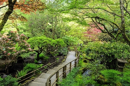 Picture of STAIRWAY TO PARADISE