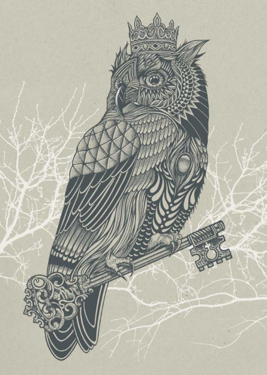 Picture of OWL KING