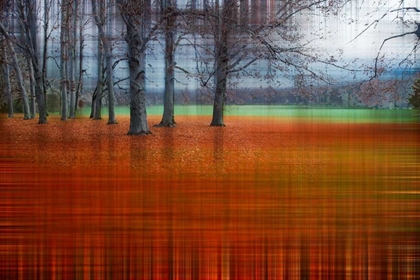 Picture of ABSTRACT AUTUMN